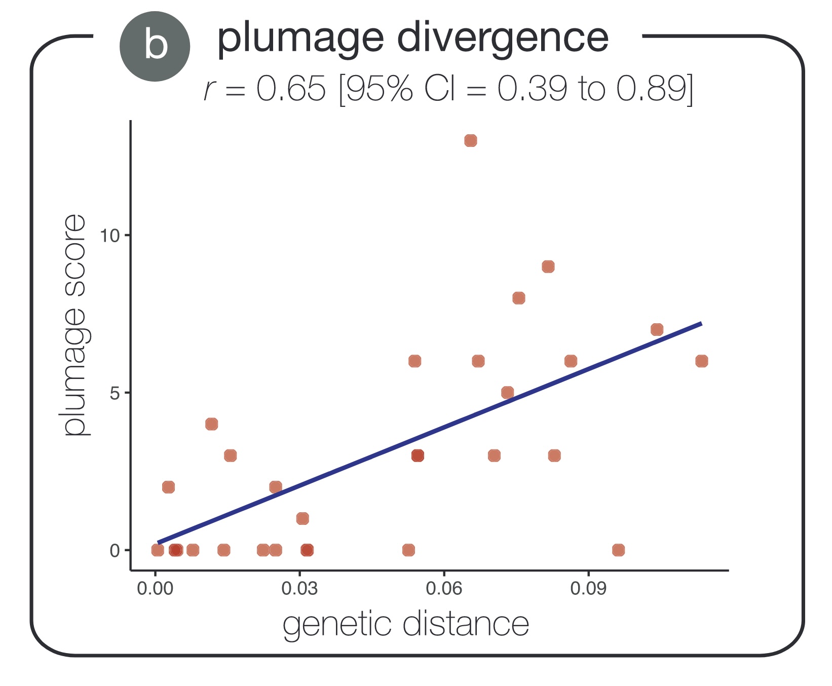plumage_div.jpg