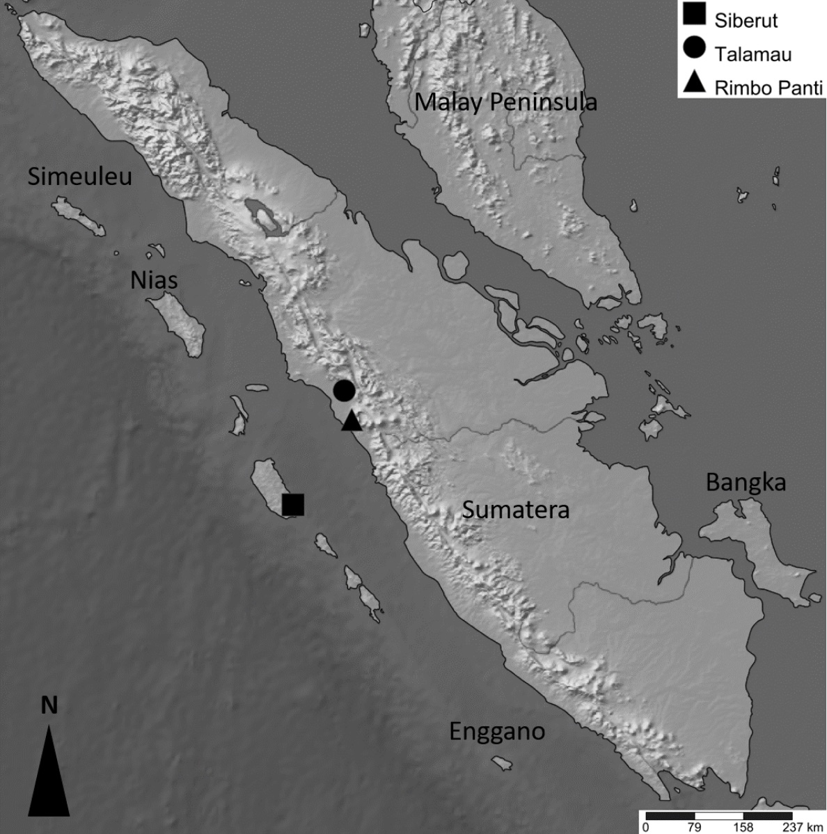 sumatera.jpg
